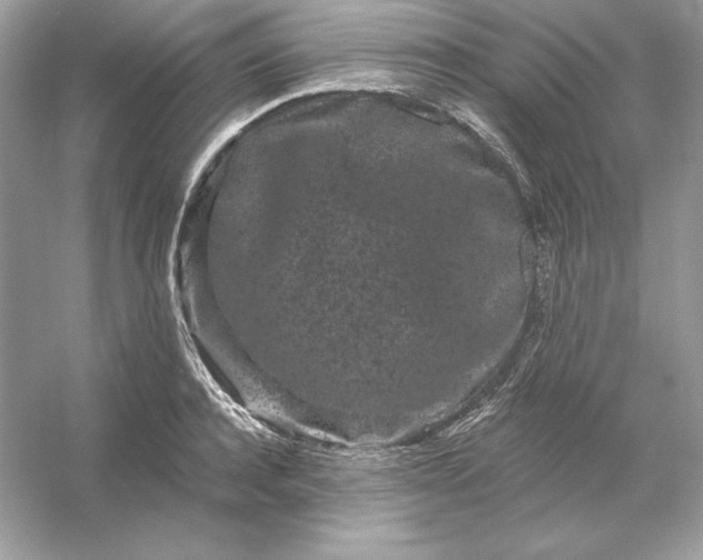 X0000053140944200507251812