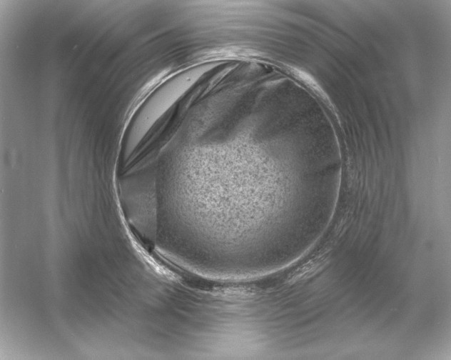 X0000053140946200507251812