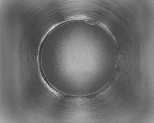 X0000053140947200507251812