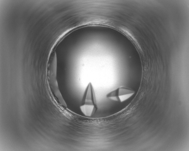 X0000053140948200507251812