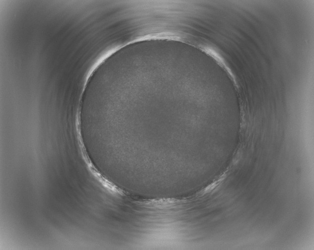 X0000053140952200507251812