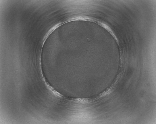 X0000053140954200507251812