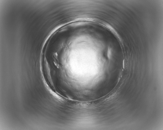 X0000053140955200507251812