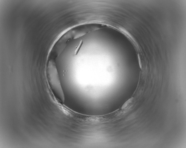 X0000053140956200507251812