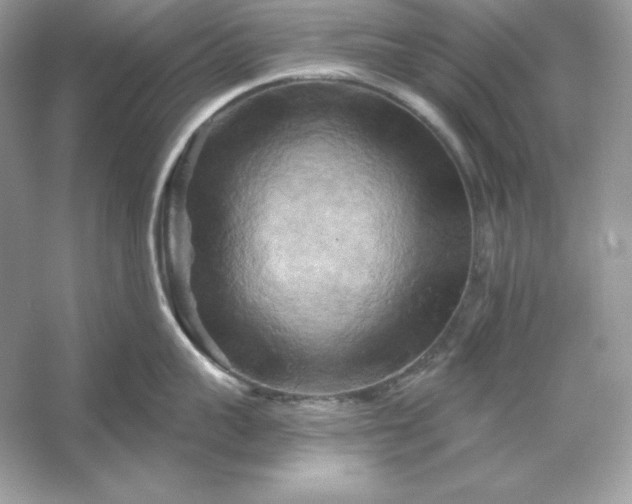 X0000053140959200507251812