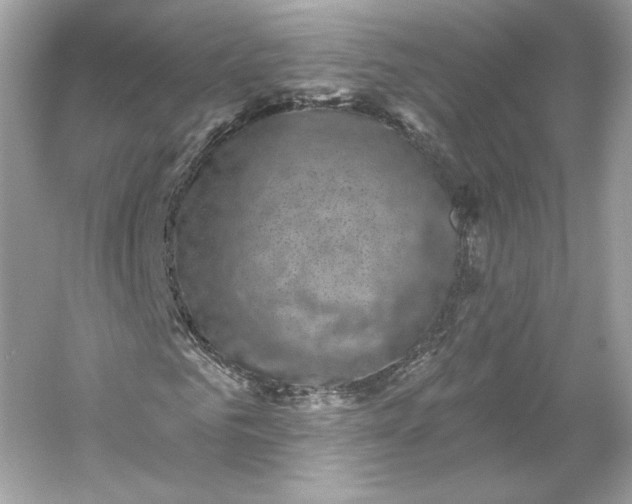 X0000053140961200507251811