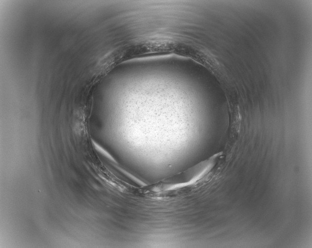 X0000053140964200507251811