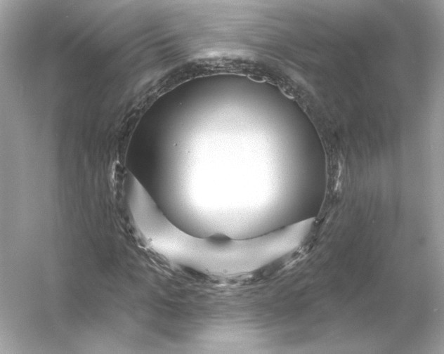 X0000053140965200507251811