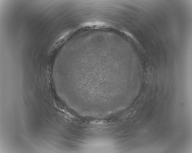 X0000053140967200507251811