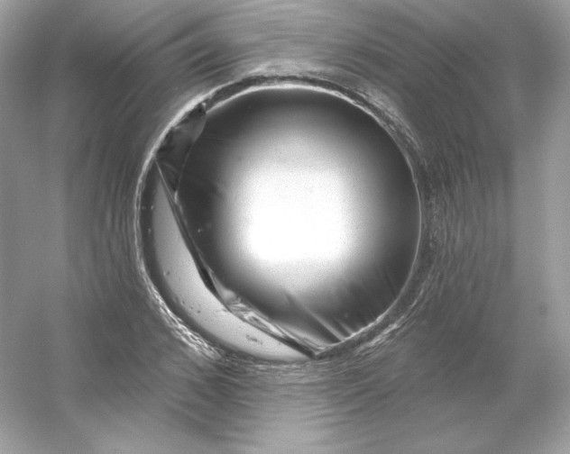 X0000053140976200507251811