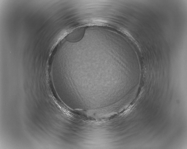 X0000053140978200507251811
