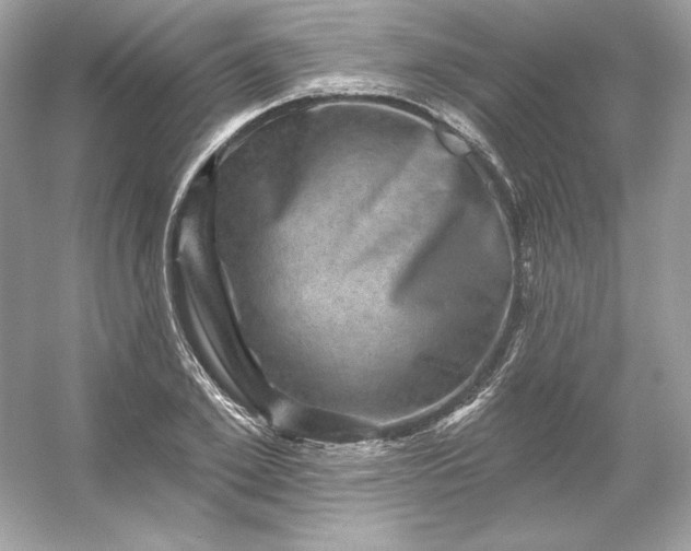 X0000053140981200507251811