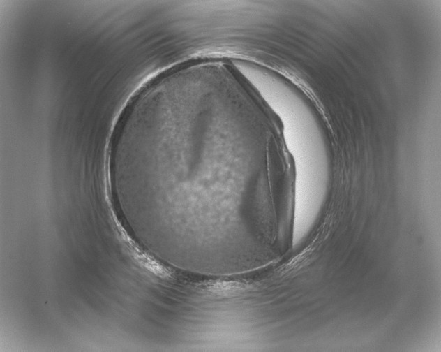 X0000053140984200507251811