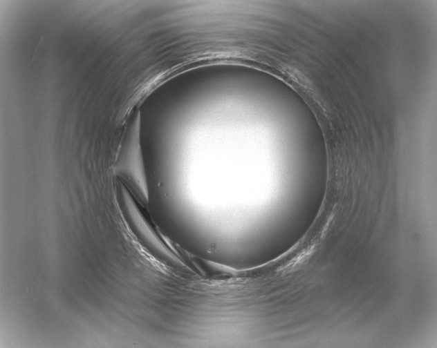 X0000053140985200507251811