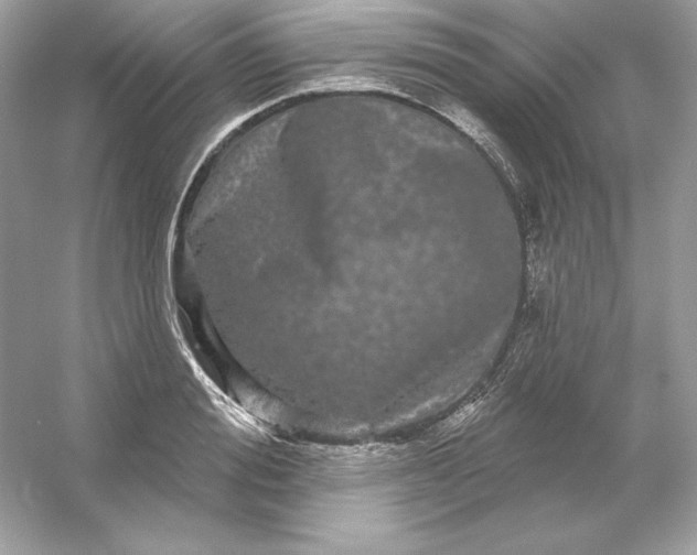 X0000053140988200507251811