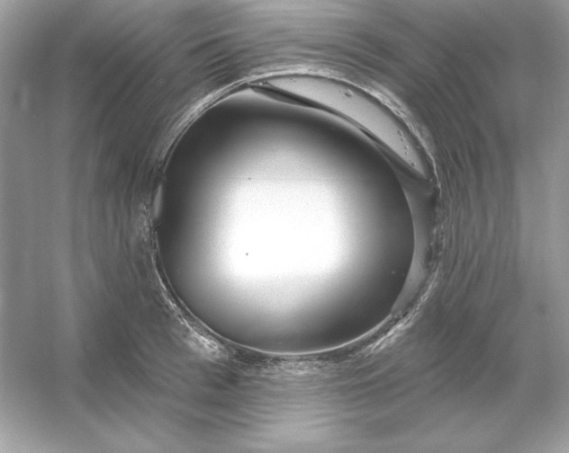 X0000053140993200507251811