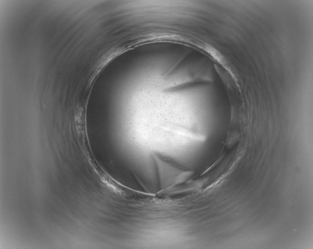 X0000053141001200507251810