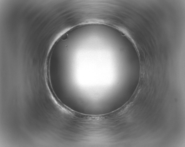 X0000053141003200507251810