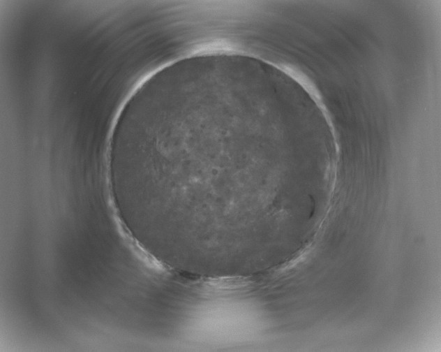 X0000053141008200507251810