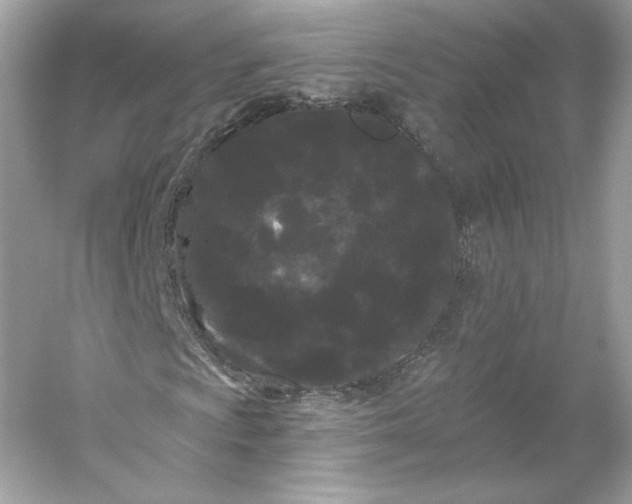 X0000053141009200507251809