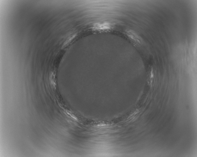 X0000053141010200507251810