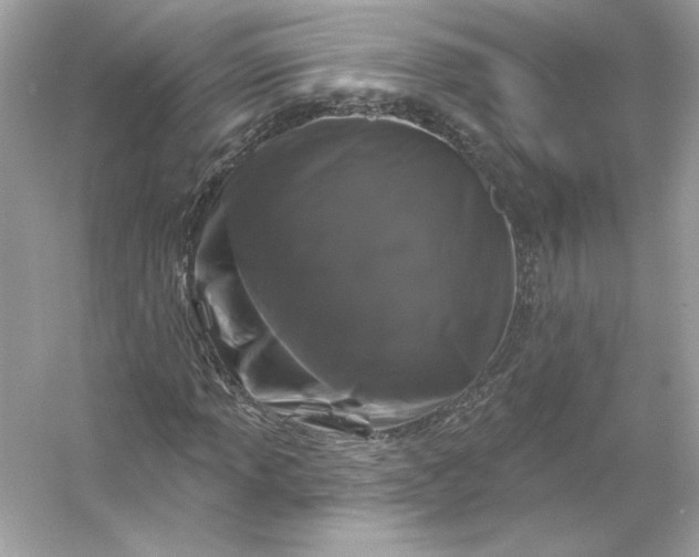 X0000053141013200507251810