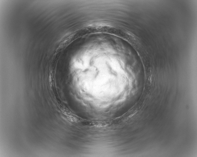 X0000053141014200507251810
