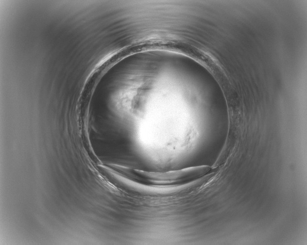 X0000053141018200507251810