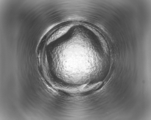 X0000053141022200507251810