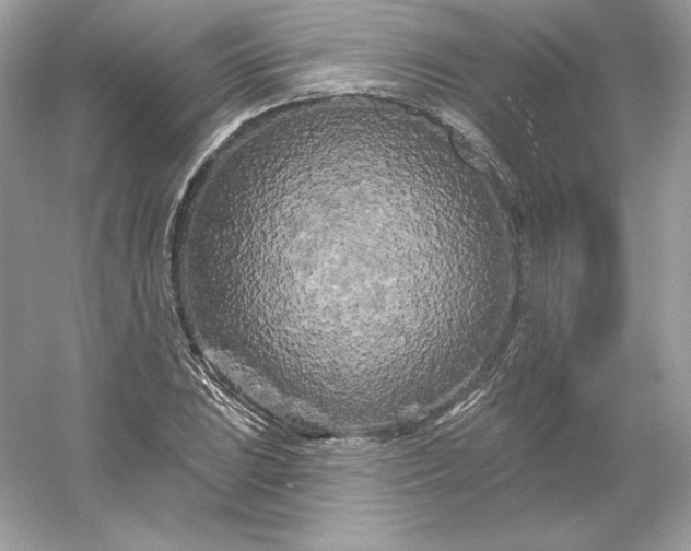 X0000053141023200507251810