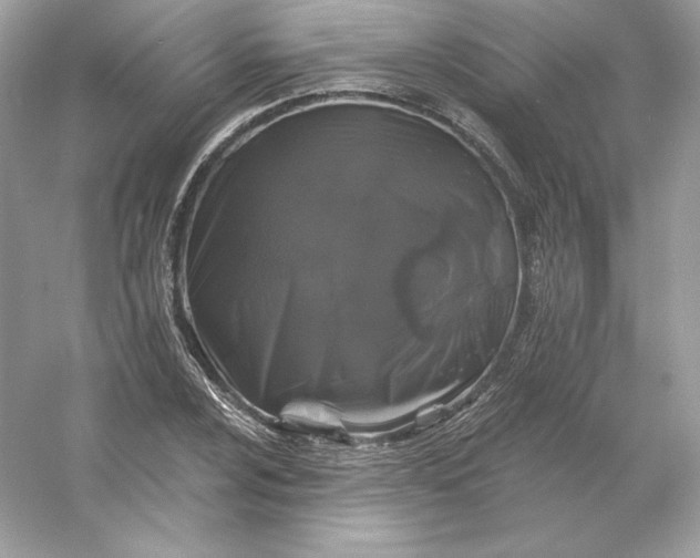 X0000053141024200507251810