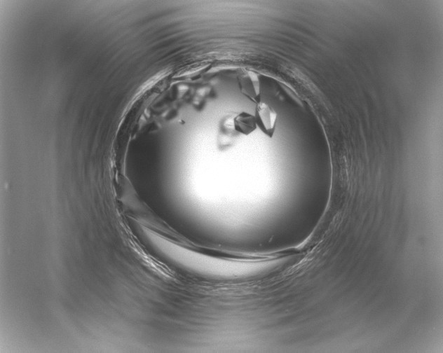 X0000053141026200507251810