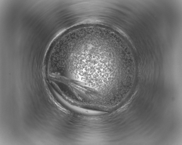 X0000053141029200507251810