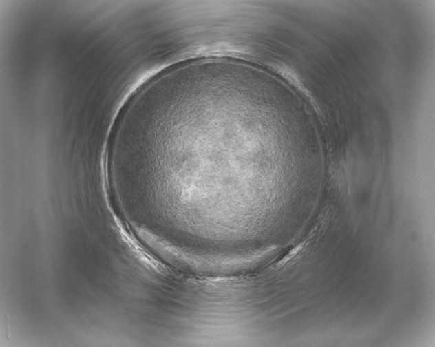 X0000053141032200507251810