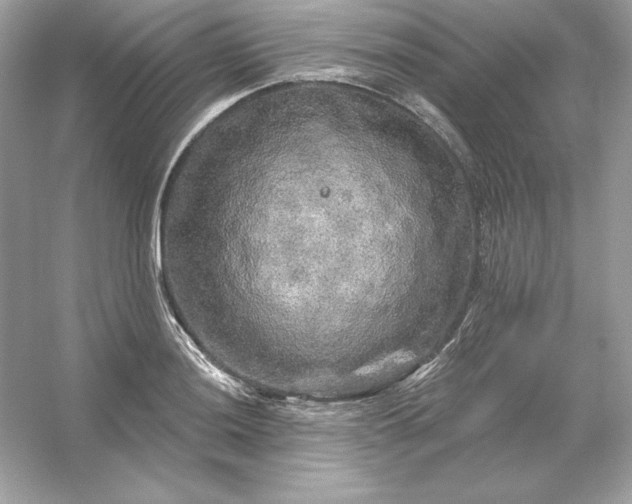 X0000053141036200507251810
