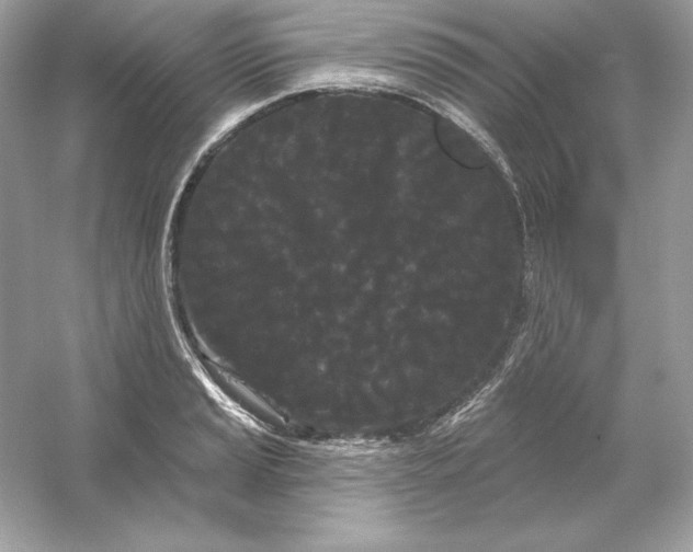 X0000053141037200507251810