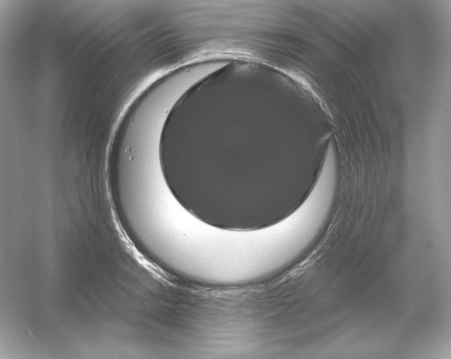 X0000053141038200507251810