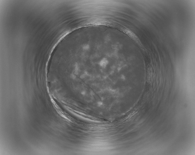 X0000053141039200507251810