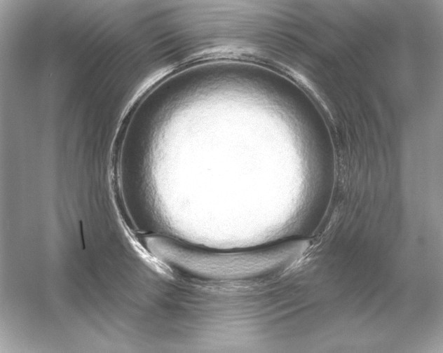 X0000053141042200507251810
