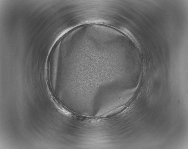 X0000053141044200507251810