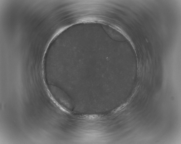 X0000053141045200507251810