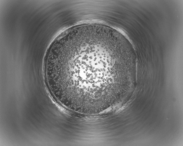 X0000053141046200507251810
