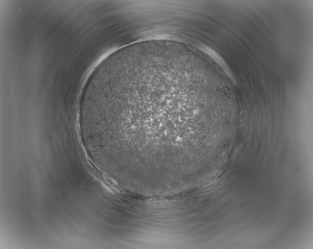 X0000053141051200507251810