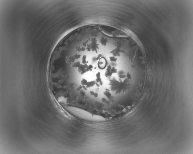 X0000053141052200507251810