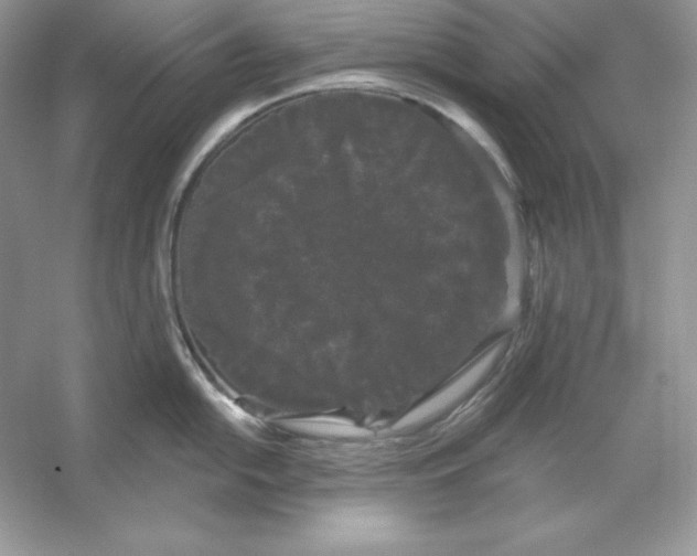 X0000053141054200507251810