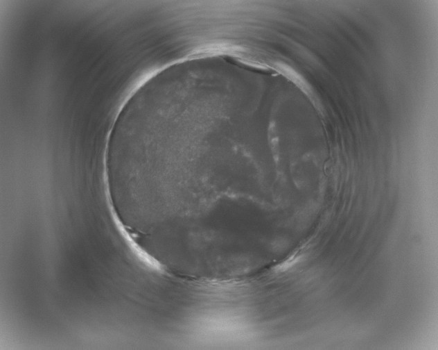 X0000053141055200507251810