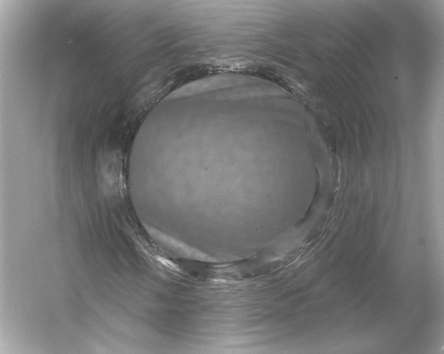 X0000053141058200507251809
