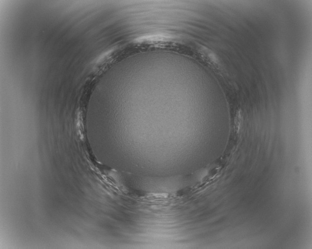 X0000053141062200507251809