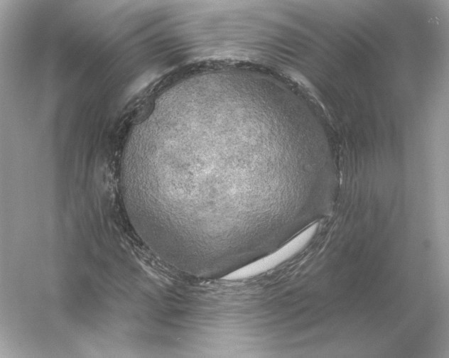 X0000053141064200507251809