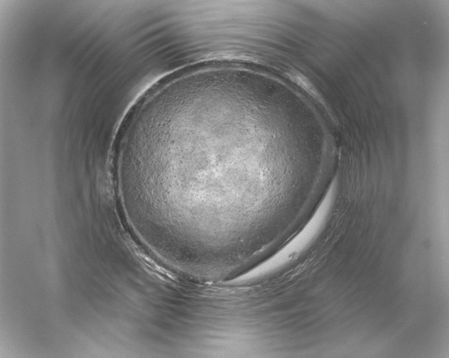 X0000053141068200507251809